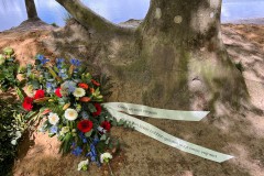 Appelbergen_2025-319-Large