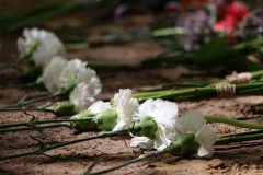 Appelbergen_2025_BP-10-Large